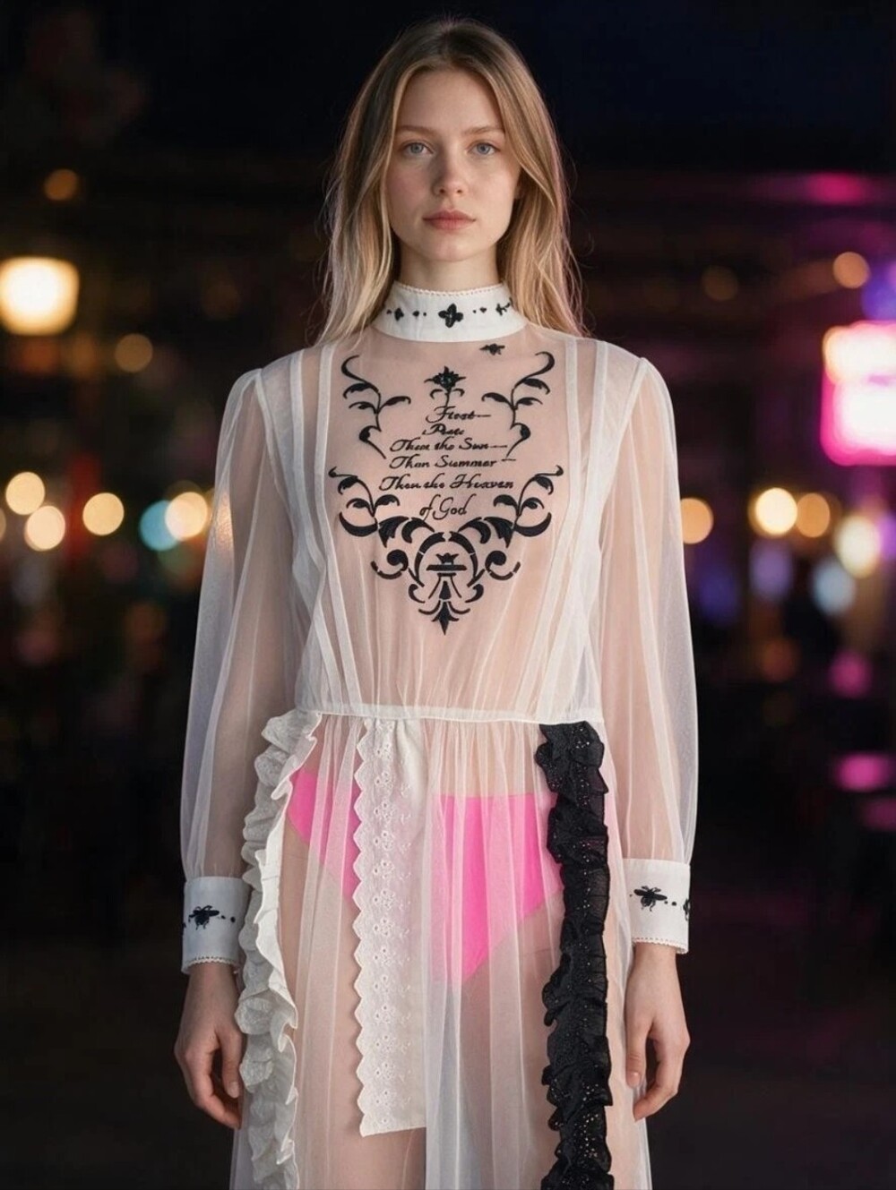 NWT Unlogical Poem Emily Dickinson Sheer Embroidered Ruffle Mesh Dress M Fits S